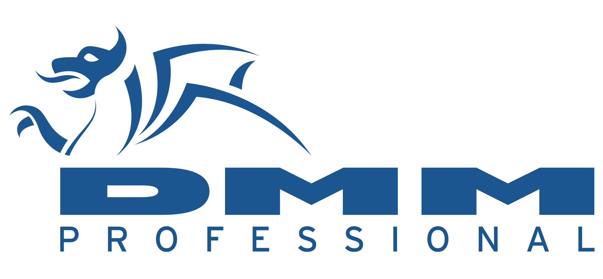 dmm pofessional logo